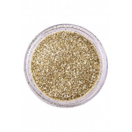 Dutch Silver Biodégradable 2,5g PartyXplosion