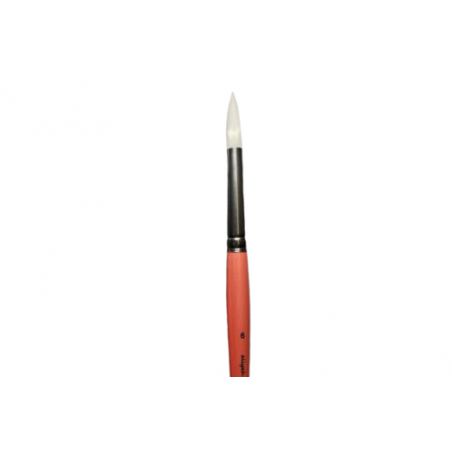 Aliyah Ultra Rond 6 Brushes & More