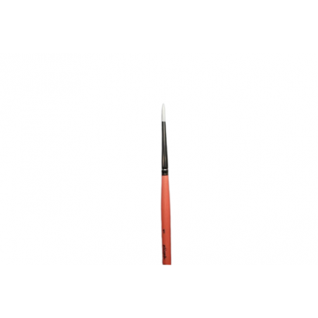 Aliyah Ultra Round 1 Brushes & More