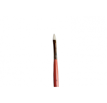 Aliyah Flat Petal 8 Brushes & More