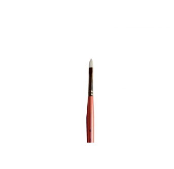 Aliyah Flat Petal 6 Brushes & More