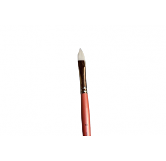 Aliyah Flat Petal 10 Brushes & More