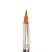 Wedger PXP 5