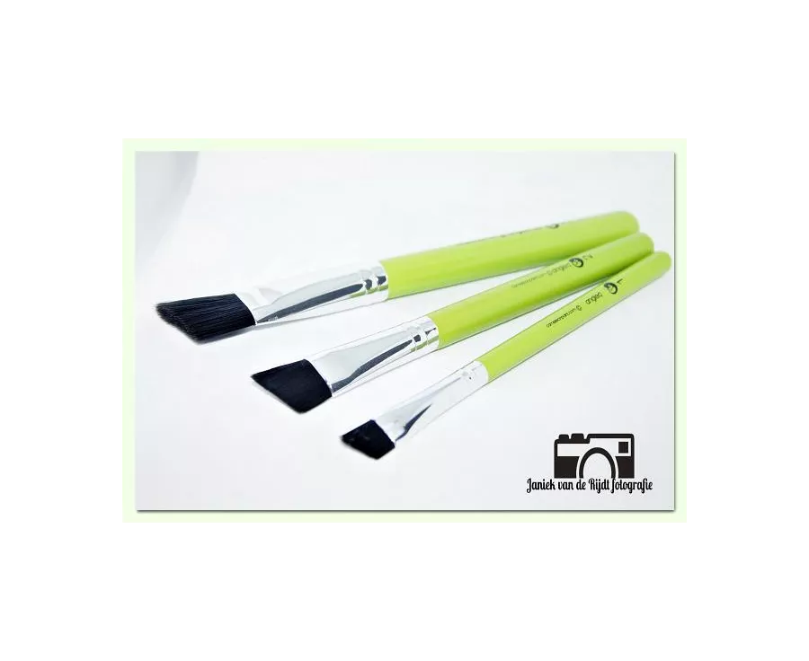 Angled 2 - Cameleon