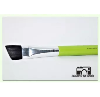 Angled 2 - Cameleon