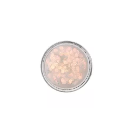 Transparent White 10ml Glitter Cream - PartyXplosion